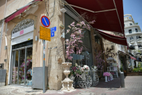  لمناسباتكم السعيدة .. "ياسمين ايفنت" للورود والزهور بيافا 